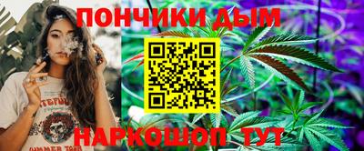 индика Кулебаки