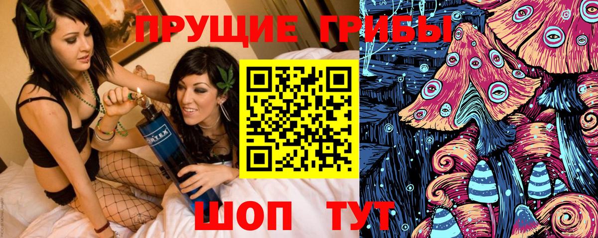 Галлюциногенные грибы GOLDEN TEACHER  Вход с VPN  Галлюциногенные грибы Cubensis  Кировск 
